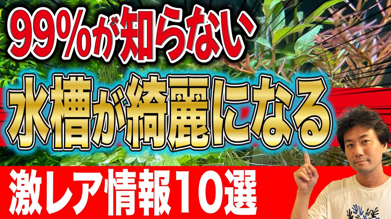 【知らないと損】プロが入手した”水槽を綺麗にする”超レア情報10選！