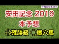 【安田記念2019本予想】今週も荒れます。マジでくる穴馬。