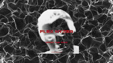 Flex Hyzer - Racks In The Way [Official Visualizer]