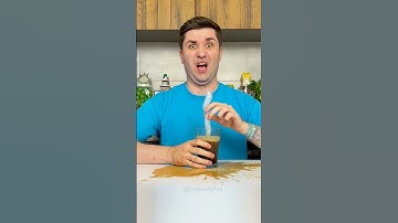 Stupid man 🫡😂 #cats #shorts