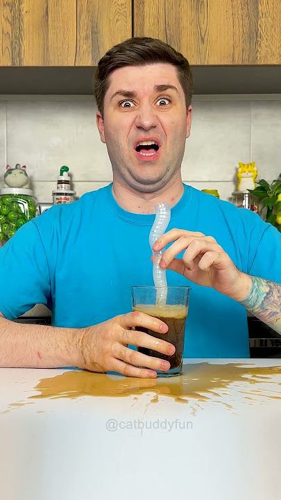 Stupid man 🫡😂 #cats #shorts