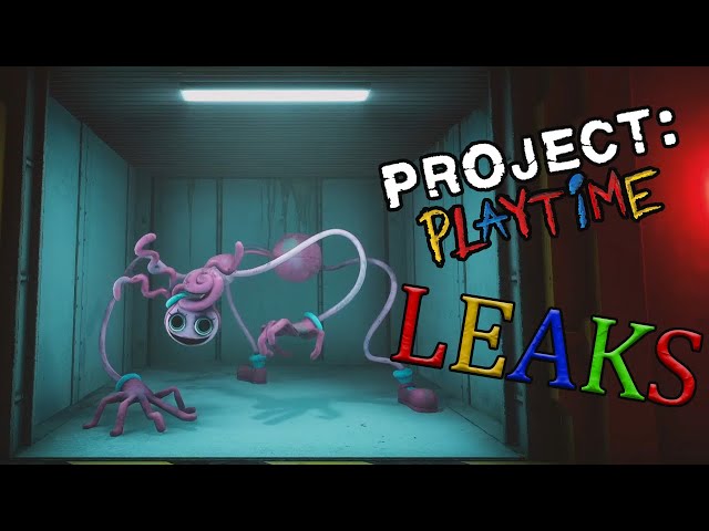 Playtime Leaks (@PlaytimeLeaks) / X