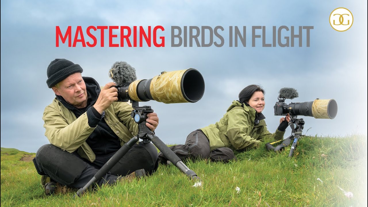 Освоение фотографии птиц в полете | советы и приемы для получения удачного снимка.