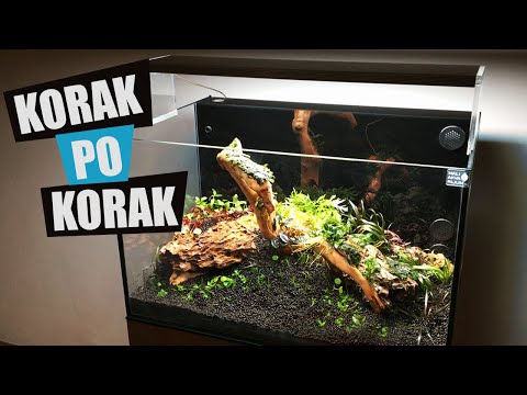 Video: Sađenje akvarija javanskom mahovinom