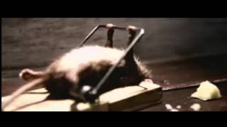 Timezero.avi