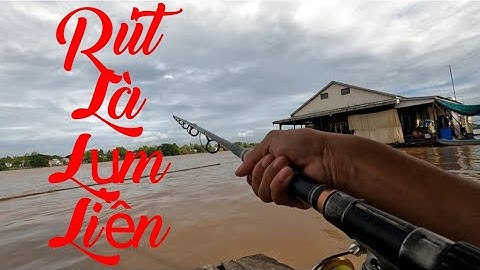 Câu Cá Vồ Đém Mùa Nước Nổi #7 || Trời Bão Cá Vẫn Ăn Mạnh .