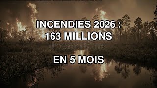 Incendies 2026 : 163 millions d'hectares brûlés en 5 mois 🔥