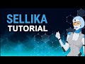 Comment utiliser le plugin sellika pour gnrer des descriptions de produits
