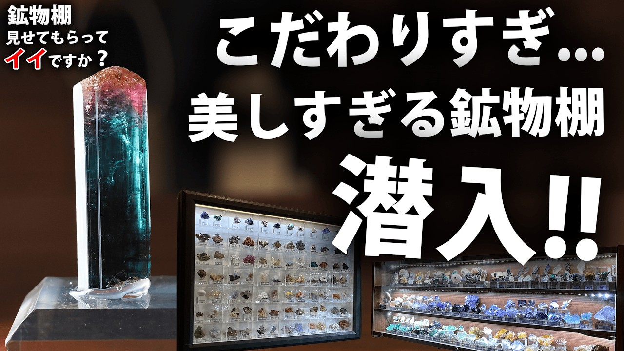 鉱物棚、見せてもらってイイですか？#2（前編）夫婦コレクターの鉱物棚