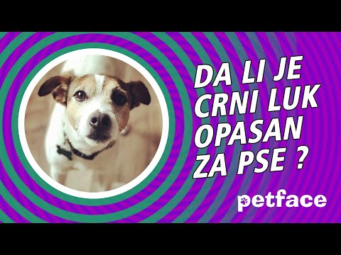 Video: Je li luk loš za pse?