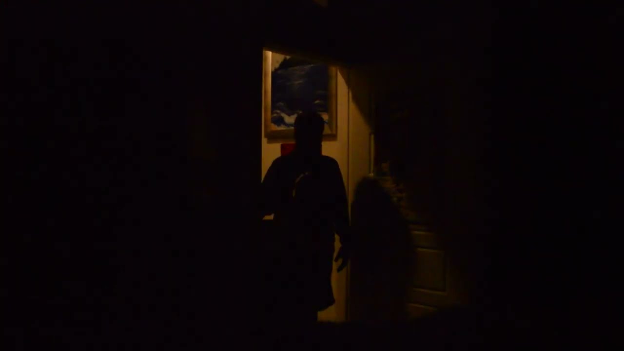 Shadows Follow Me