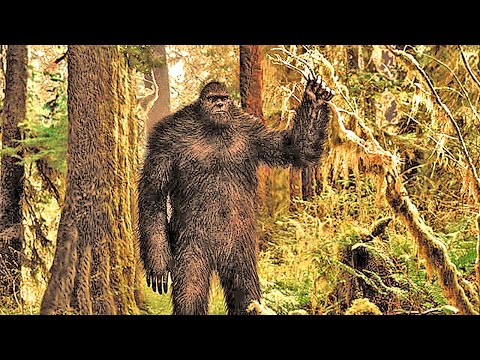 DAVY CROCKETT AND SASQUATCH - That Bigfoot Show