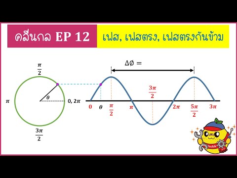 คลื่นกล ( Ep12) :  เฟส,จุดที่เฟสตรงกัน ,จุดที่เฟสตรงกันข้าม