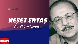 Neşet Ertaş - Bir Kökte Uzamış I Zülüf Dökülmüş Yüze © 1999 Kalan Müzik Resimi