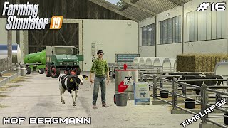 New CALF and upgrading TRACTORS with @kedex | Hof Bergmann | Farming Simulator 19 | Episode 16