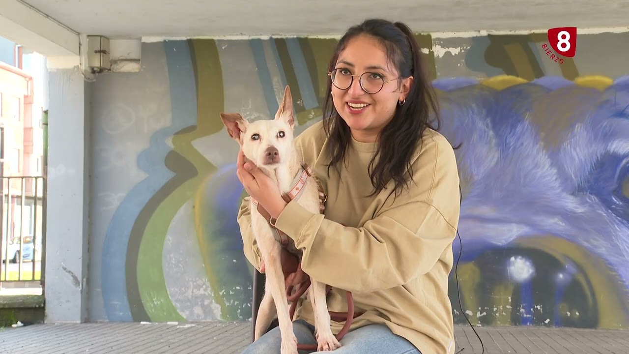 OBJETIVO BIERZO - SEGUNDAS OPORTUNIDADES, 26 FEBRERO 2026