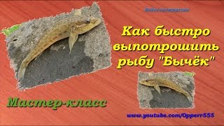 Чистим рыбу. Как быстро выпотрошить рыбу &quot;Бычек&quot;. Мастер-класс.