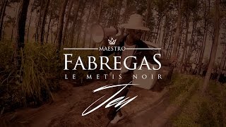 Fabregas Le Métis Noir - Jeu chords