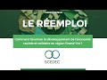 Le remploi  comment favoriser le dveloppement de less en rgion grandest 