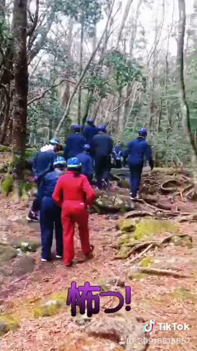 青木ヶ原樹海 探検現場