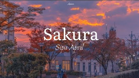 Sakura-Fariz RM Cover Sipa April || Lirik