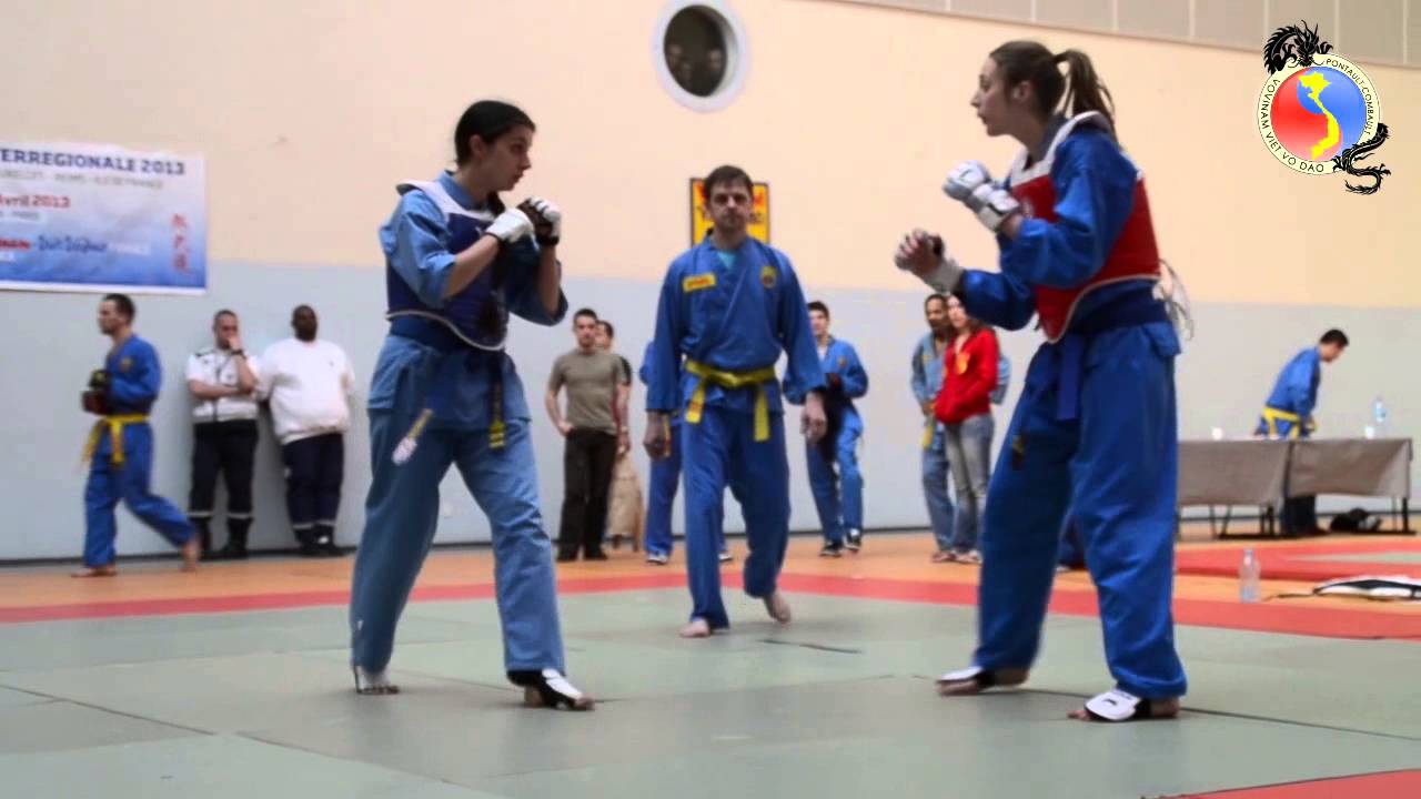 Vovinam Toulouse vovinam-toulouse