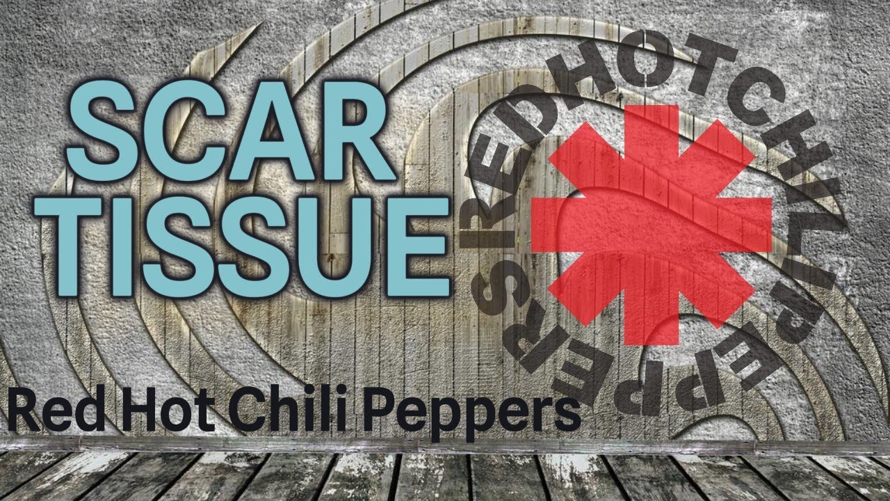 Red Hot Chili Peppers Scar Tissue YouTube