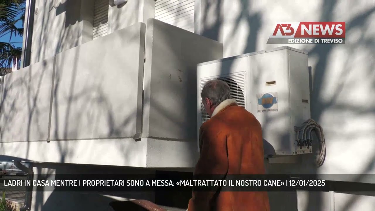 LADRI IN CASA MENTRE I PROPRIETARI SONO A MESSA: «MALTRATTATO IL NOSTRO CANE» | 12/01/2025
