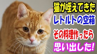 『なんでこんなもの持ってくるんだろう?』母親と喧嘩し音信不通になって20年。知り合った野良猫が咥えてきたレトルトの麻婆豆腐の空箱を持ってきた。そのレトルトを買って料理を作ったら..