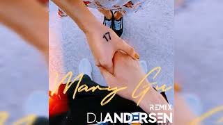 Mary Gu - 17 (DJ Andersen Remix)