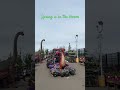 Spring is in the bloom #habuild #lifeisbutadream #habuilder #ihavethisthingwithplants #habuildpur
