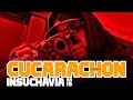 Insuchavia ar15  cucarachon rip el rival prodby an1mala x molano music insurrecto 1nsurrecto