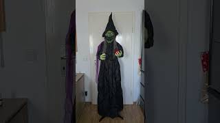 Animated Standing Green Apple Witch
