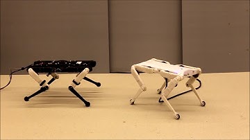 20200219 Solo8 and Solo12 quadruped