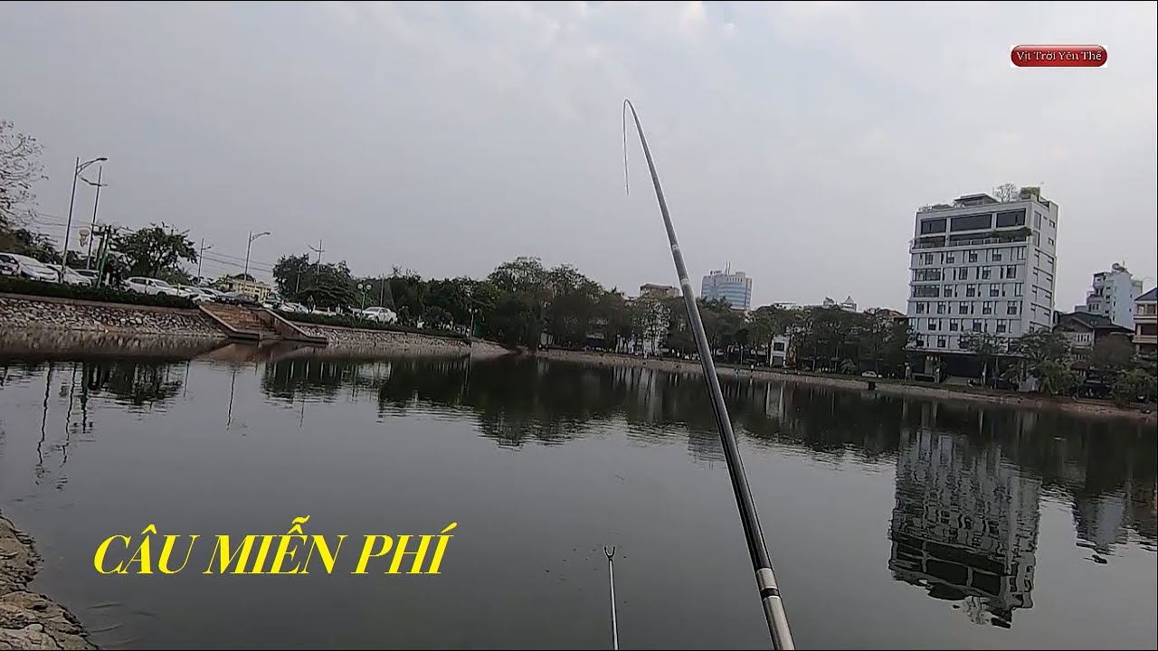 hồ câu giá rẻ ở hà nội 2022 New Đi câu cá miễn phí ở ngay giữa thành phố hà nội