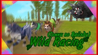 🌿WILD RACING🌿ГОНКИ ПО ВАЙЛДУ// WildCraft //