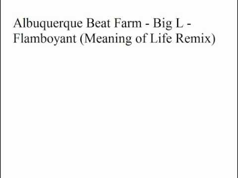 Big L - Flamboyant (Meaning of Life Remix)