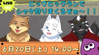 【スプラ３コラボ／大兼虎上視点】ビッグビッグランだからシャケしばくまくるぞ～！！【雪島ティラ・坂本キドア・大兼虎上/ケモノVtuber】