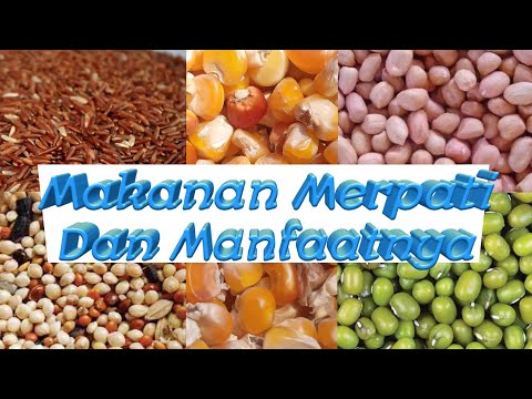 Makanan Burung Dara