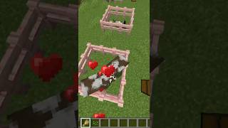 How to breed Cows in Minecraft #minecraftbreeding #cowminecraft #minecraftcow