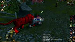 Spoh   Rank 14 Druid PvP   Change by Spoh   2006 04 14