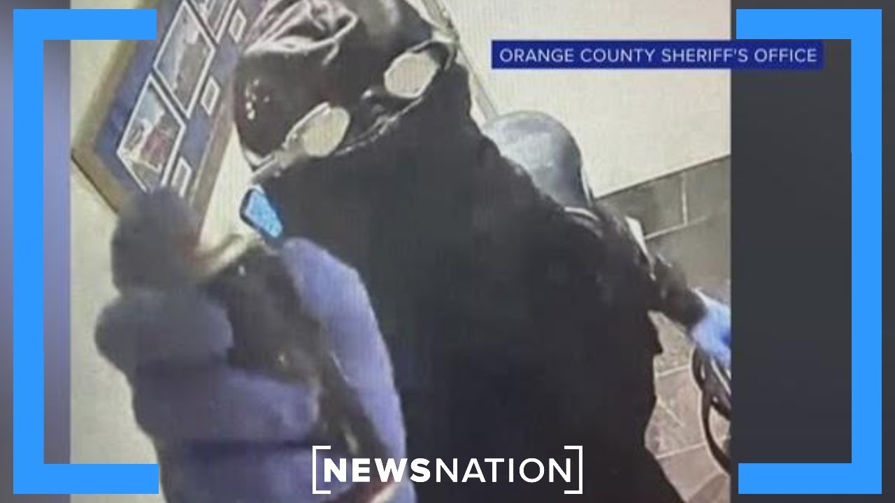 Thief in scuba gear swipes $20K from Disney World restaurant | Banfield