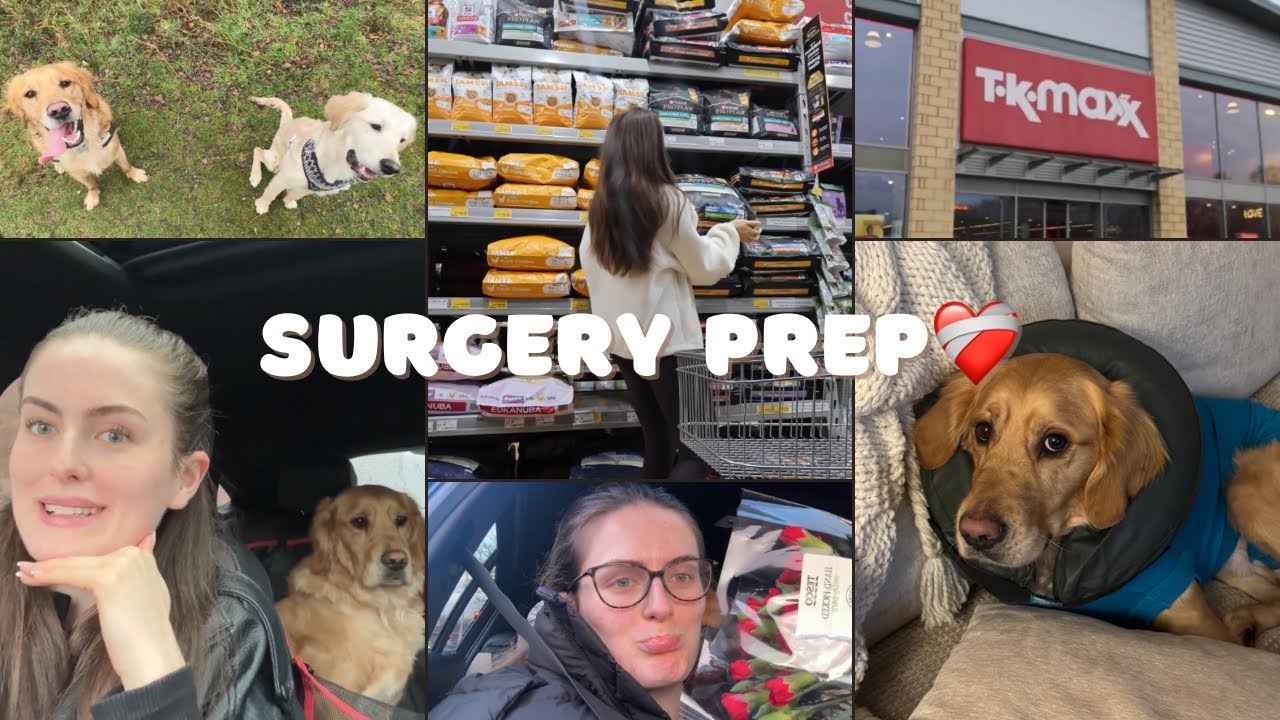 prepping for sullys surgery❤️‍🩹pet shop, muddy walks, groomers & more!!