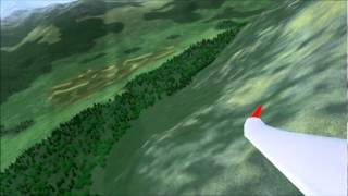 Condor Soaring West Swiss