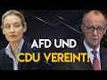 Schon wieder! CDU und AfD stimmen gemeinsam – Merz reagiert wütend!