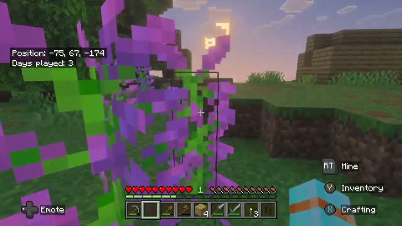 Minecraft Adventure 4 (Flowers)