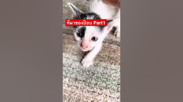 ชีวะประวัติ ของ ป๊อบคอร์น เป็นแบบนี้ครับ part1😂#ทาสแมว #ป๊อบคอร์นแมวเถียงเก่ง  #แมว #shorts
