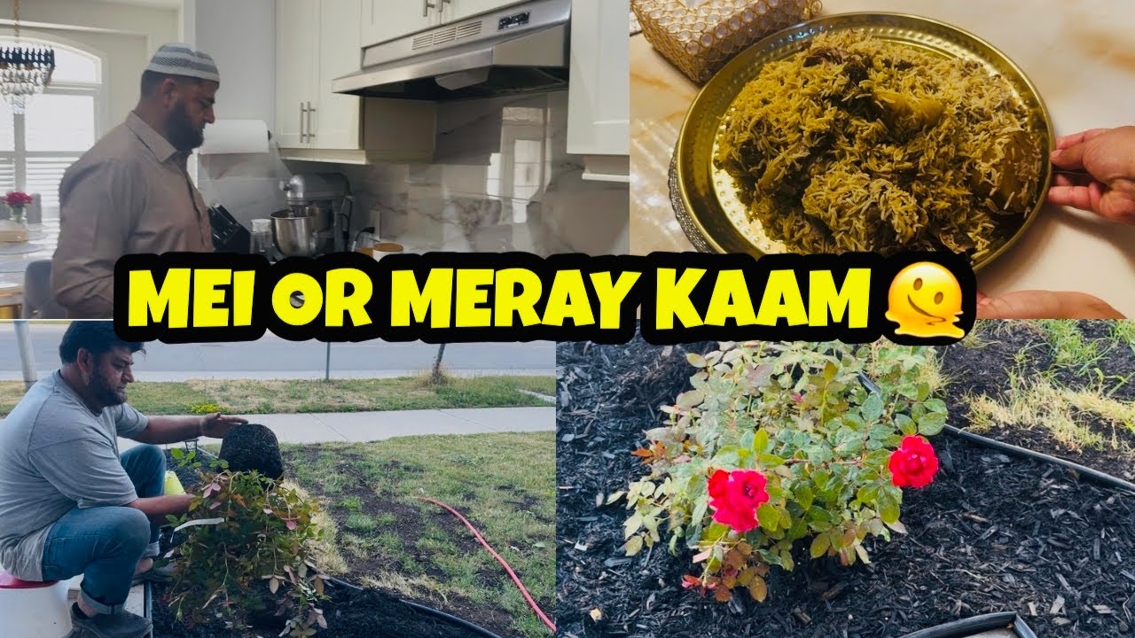 Leftover Food Say Banaya Pulao | Ghulab Kay Phool Lagaya |