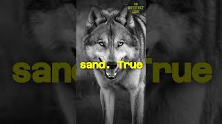 Strategic Rules to Master Any Situation 🧠   The Influence Code Part 3