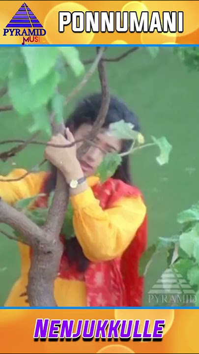 Nenjukkule Innarendru Video Song | Ponnumani Songs | Karthik | Soundarya | Ilayaraja | #YTShorts